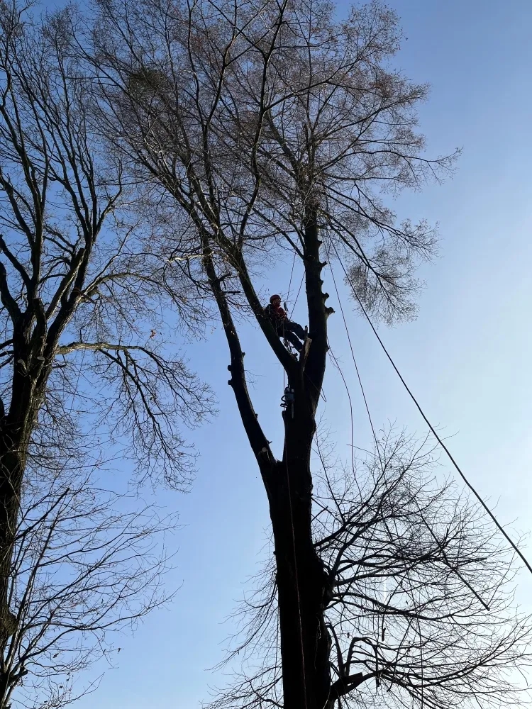 Zdjęcie przedstawia alpinistę przemysłowego podczas pracy na wysokości.