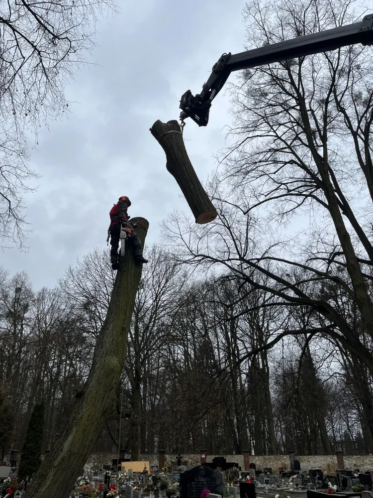 Zdjęcie przedstawia alpinistę przemysłowego podczas pracy na wysokości.